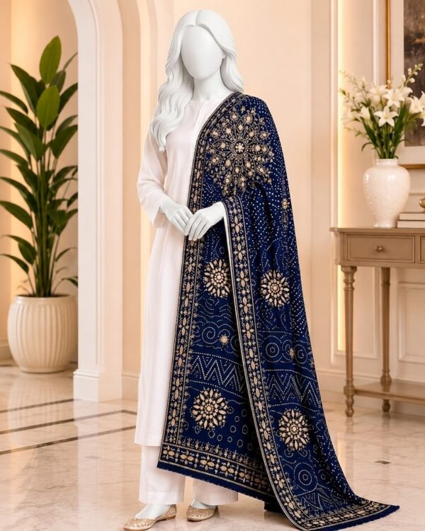 LCD Seep Gota Chunri Mirror Work Shawl